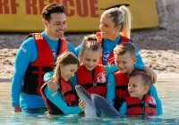 Dolphin Family Adventure Photo From SeaWorld.com.au