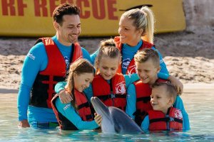Dolphin Family Adventure Photo From SeaWorld.com.au Dolphin Family Adventure Photo From SeaWorld.com.au