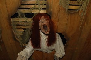 Draculas Haunted House Draculas Haunted House