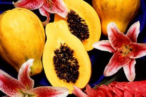 papaya papaya