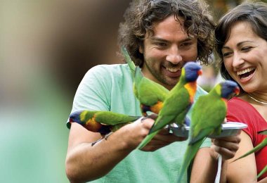 Currumbin Wildlife Sanctuary