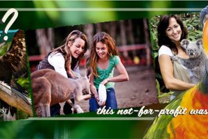 Currumbin Wildlife Sanctuary 1