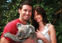 Currumbin Wildlife Sanctuary
