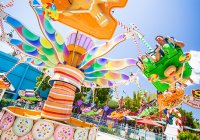 Gingys Slider Dreamworld Gold Coast