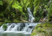 Gold Coast Day Trips 1