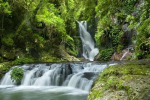 Gold Coast Day Trips 1