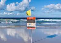 What Savannah Guests Rate Broadbeach