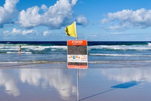 What Savannah Guests Rate Broadbeach