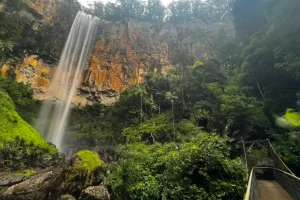 Family Attractions Gold Coast Family Attractions Gold Coast
