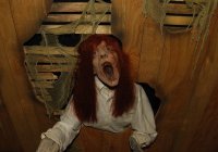 Draculas Haunted House Draculas Haunted House
