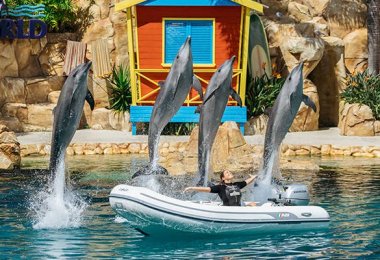 Sea World Sea World